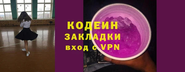 хмурый Абаза