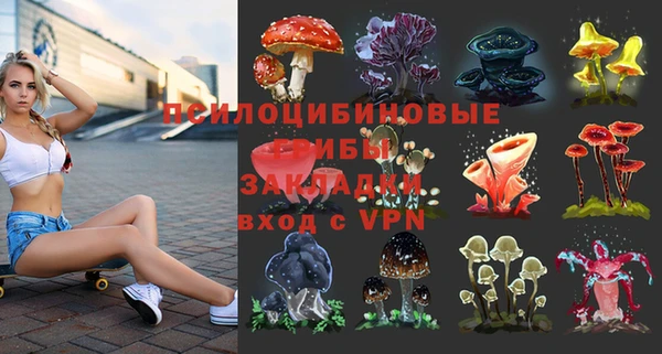 соль курить ск Алексеевка