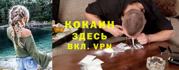 хмурый Абаза