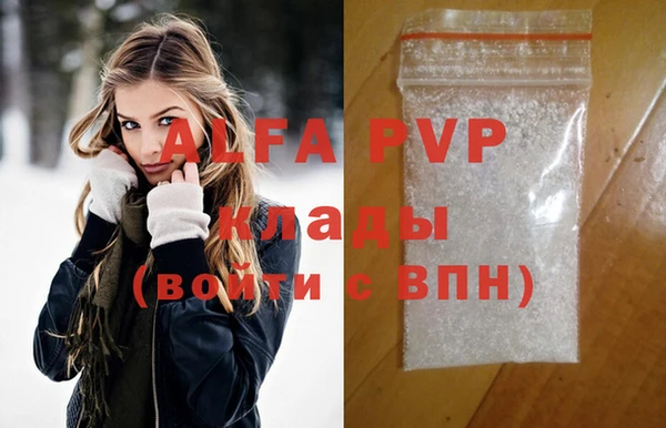 СК Алексин