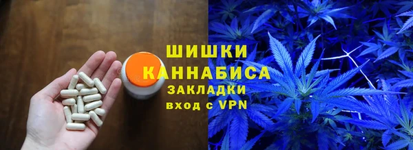 крисы Соль-Илецк