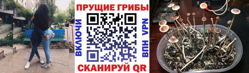 Псилоцибиновые грибы мицелий  даркнет какой сайт  Чухлома 